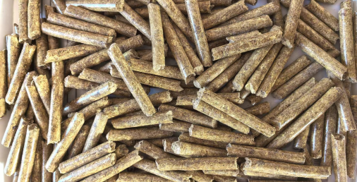生物質(zhì)燃料到底是如何進(jìn)行燃燒的呢？