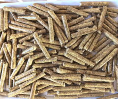 行業新聞